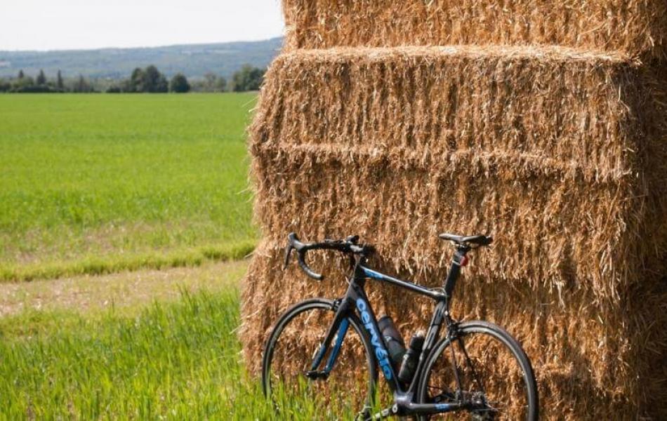 Percorsi ciclabili a Bologna
