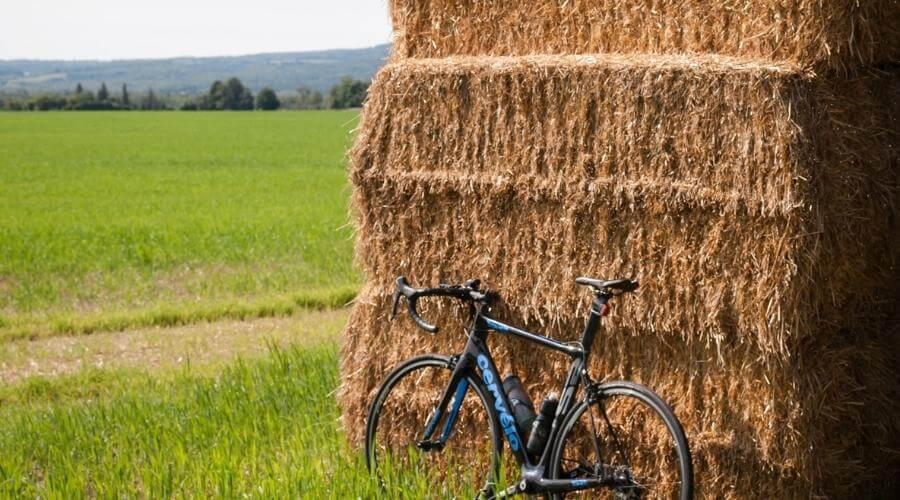 Percorsi ciclabili a Bologna