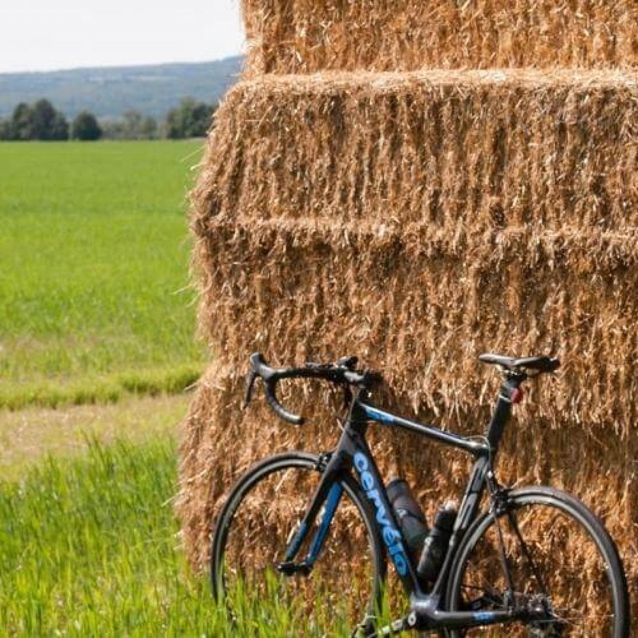 Percorsi ciclabili a Bologna